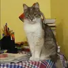 Отзыв от Мария Копылова